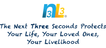 n3l3 logo